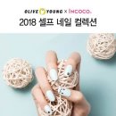 영컬렉션