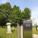 김안정 묘 및 출토묘비 이미지