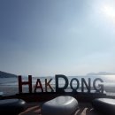 해변길 51 | 거제도 1박2일 여행 후기 여행코스추천 히노끼해수찜리조트/몽돌해변/식물원/회/해수찜질/배말칼국수와...