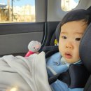 오설니암영농조합법인 | [청양 여행] 청양 알프스마을 칠갑산 얼음 분수 축제! 15개월 아기 준비물 및 방문 후기!