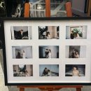 주해닭갈비 | 11월 우키의 일상 | 가을은 식욕의 계절