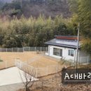 호스위 이미지