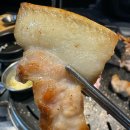 박훈남돼지 이미지