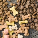 한마음동물의료원 이미지