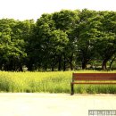 송악사슴영농조합법인 | 공주 오토캠핑장에서 가족 캠핑할 땐 어디가 좋을까? 선돌느티나무 캠핑마을 솔직 후기