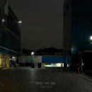 PIIANO ON, Piano on Festival | 2025 11. 시그리드 내한공연 (LOVE IN SEOUL - Sigrid)