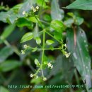 노량진근린공원 관리사무소 이미지