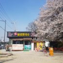 바로한국수