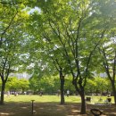 와동축구장(꽃빛공원) | 아이와 김포 걸포중앙공원 주차, 무료 피크닉, 텐트, 놀이터, 카페, 어린이날 행사☆