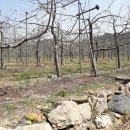 맛있는부동산중개사무소 이미지