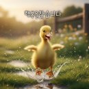 독 | 🐕목줄 없이 뛰노는 강아지 운동장) 양주 <네이처독> 후기