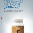 엠브로토스 AO 이미지