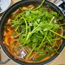 생태와대구 이미지