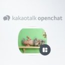 은행나무사진관