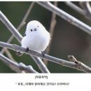 클리셰