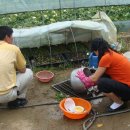 철수농장 이미지