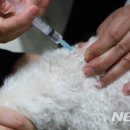 세종가축병원 이미지