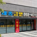 새롬동_새뜸101동옆 | 세종시 양심부동산 세종금밭공인중개사사무소 새롬동부동산추천