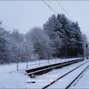 겨울 그 쓸쓸함에 대하여, 슈베르트 겨울나그네 전곡 이미지