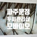 219-운정3-219 | 파주 운정 탈모관리 지루성두피 전문 모바이오 두피클리닉 후기