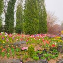 (주)가야드림 이미지