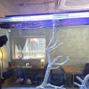 공공장소 | [암사동 카페] 물멍·카페멍 동시에! ‘카페 공공장소’ 방문 후기