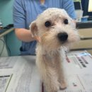 인월동물병원 이미지