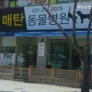 매탄동물병원
