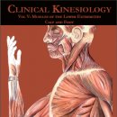 Clinical Kinesiology Volume V Muscles of Lower Extremities 이미지