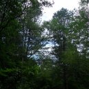 인제휴가 이미지