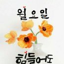 3월.22일.월요일 간추린 뉴스 이미지