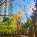 단풍약국 이미지