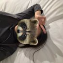 [🇨🇦오타와 워홀] D+1~7: 나 캐나다 오길 잘한 걸까..