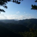 손맛칼국수 이미지