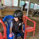 아름솔 유치원 | 유아승마 (feat. 유아승마장비)