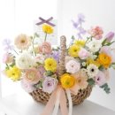 mercierfleur메르시에플레르