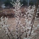 한아름농장 이미지