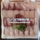 신기회어시장 이미지