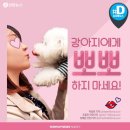 뽀뽀로야