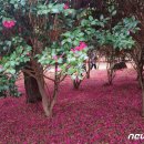 1004섬 무인카페