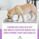 곤지암동물병원