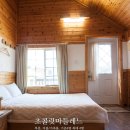 강촌초코민트 이미지