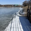 두류공원1공영주차장 | 🐾 반려견 놀라와 함께 대구 겨울 산책 코스 – 수성못 &amp; 두류공원