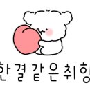 디알테일러