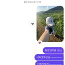 문씨(Moon Sea)네 | for the moon by the sea 도달가능미: 제주댁