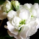 (주)영원 이미지