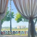 여주(강릉) 이미지