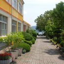 동명초등학교 이미지