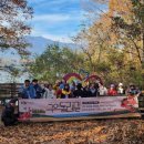 시나브로 이미지