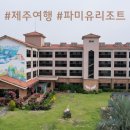 제주도아이랑 파미유리조트 키즈가족펜션 | 제주도 아이랑 함께 가기 좋은 펜션 파미유리조트